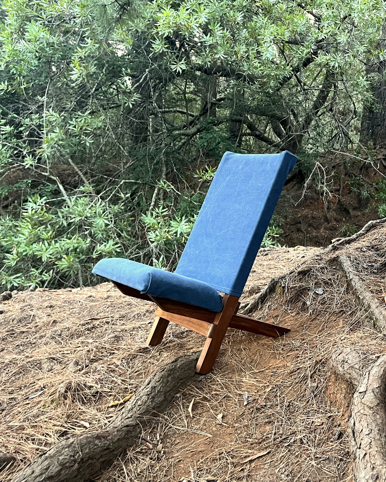 Kiaat and beech folding chairs among the pine roots